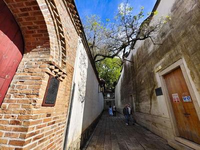 新华社关注福州：三坊七巷 流苏花开