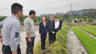 郭宁宁吴贤德赴连江调研农业生产等工作 践行大农业观大食物观 全力抓好春季农业生产 为乡村全面振兴提供坚实支撑