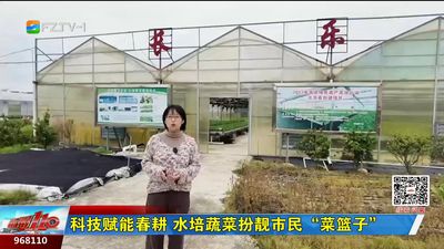 科技赋能春耕 水培蔬菜扮靓市民“菜篮子”