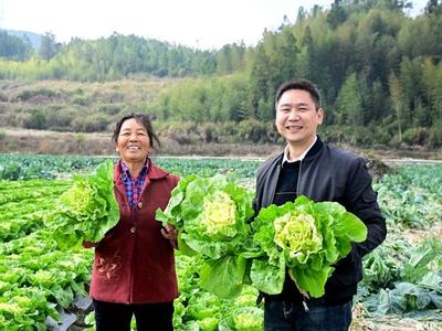 山海“双拼”，“特色菜”端上来——福州践行大食物观交出生动答卷