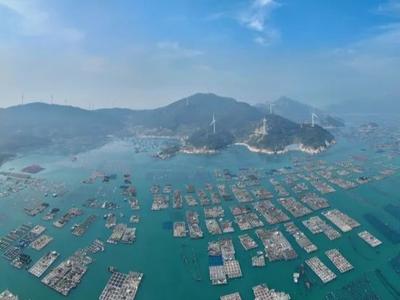 核心指标领跑沿海省份！一季度“海上福建”强劲开局