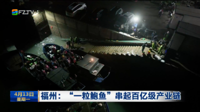 福州：“一粒鲍鱼”串起百亿级产业链