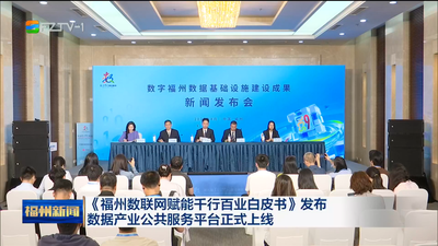 《福州数联网赋能千行百业白皮书》发布 数据产业公共服务平台正式上线