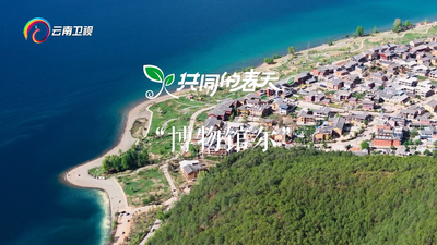 共同的春天丨博物馆“尔”