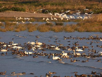人民日报 | 闽江河口“长”出新风景