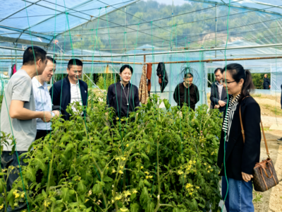 助力乡村全面振兴委员进百村｜市政协赴连江县开展“助力乡村全面振兴委员进百村”暨“春耕助农”活动