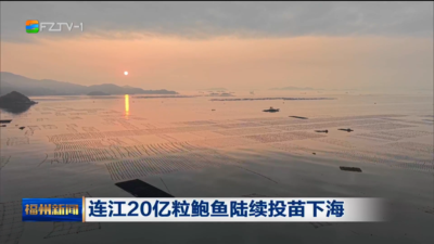 连江20亿粒鲍鱼陆续投苗下海