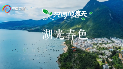 共同的春天：湖光春色
