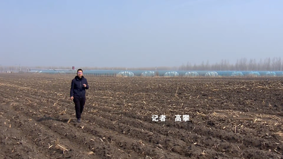 又是一年垄上行丨瘦田“增肥”记