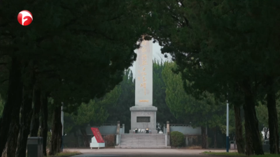 梨花风起正清明 无名墓前悟无名