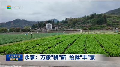 永泰：万象“耕”新 绘就“丰”景