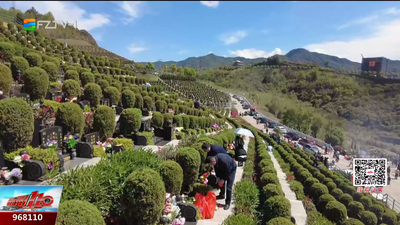 鲜花寄哀思 文明祭故人