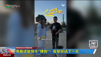 带薪还能快乐“撸狗”？我替你试了一天