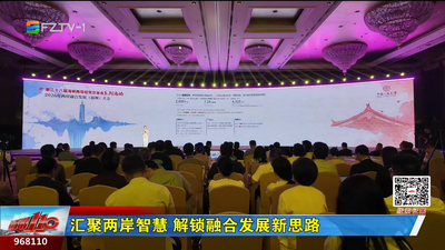 汇聚两岸智慧 解锁融合发展新思路
