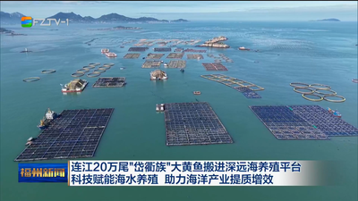 连江20万尾“岱衢族”大黄鱼搬进深远海养殖平台 科技赋能海水养殖 助力海洋产业提质增效