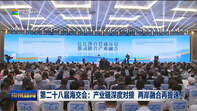 第二十八届海交会：产业链深度对接 两岸融合再提速