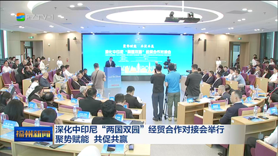 深化中印尼“两国双园”经贸合作对接会举行 聚势赋能 共促共赢