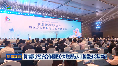 闽港数字经济合作暨医疗大数据与人工智能分论坛举行