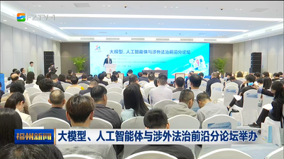 大模型、人工智能体与涉外法治前沿分论坛举办