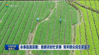 永泰县清凉镇：抢抓农时忙农事 筑牢群众民生菜篮子