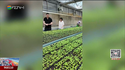“偷懒”也能种好菜？揭秘“90后”新农人的“赛博菜地”