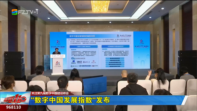 “数字中国发展指数”发布