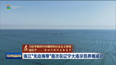 连江“无边海带”首次在辽宁大连示范养殖成功