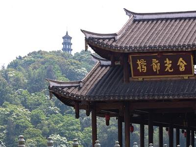 连江含光生态公园“五月雪”出圈