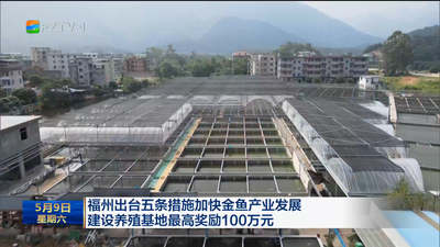 福州出台五条措施加快金鱼产业发展 建设养殖基地最高奖励100万元