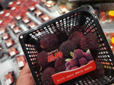 早熟杨梅抢鲜上市 目前“身价”颇高