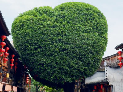 刷屏了！今天，整个福州都在说“我爱你”