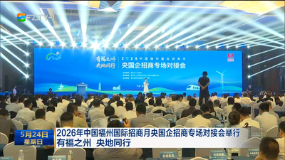 2026年中国福州国际招商月央国企招商专场对接会举行 有福之州 央地同行