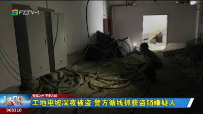 工地电缆深夜被盗 警方循线抓获盗销嫌疑人