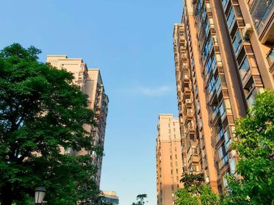 手机可查四城区商品房买卖合同备案 网上查询、下载不收费