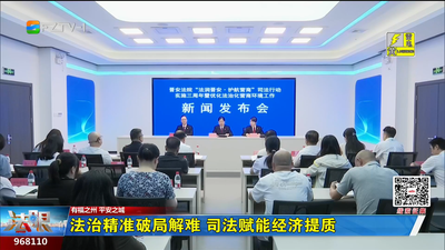 法治精准破局解难 司法赋能经济提质