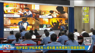 “检护茉莉”护航未成年人成长路 优秀案例引领提质增效