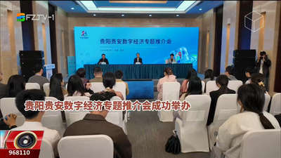 贵阳贵安数字经济专题推介会在福州举办