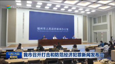 我市召开打击和防范经济犯罪新闻发布会