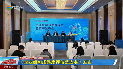 《企业级AI成熟度评估蓝皮书》发布