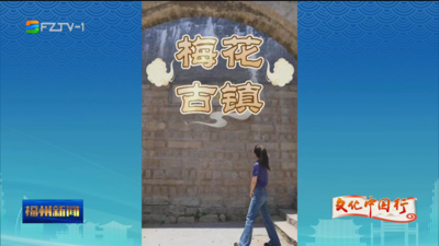 梅花古镇：挟江向海通世界