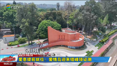 爱意提前就位！爱情岛迎来错峰领证潮