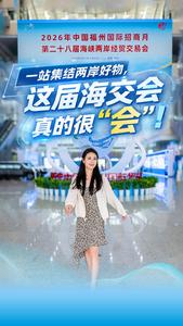 一站集结两岸好物 这届海交会真的很“会”！
