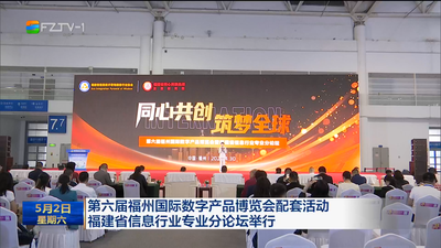 第六届福州国际数字产品博览会配套活动 福建省信息行业专业分论坛举行