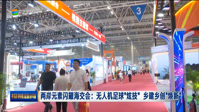 两岸元素闪耀海交会：无人机足球“炫技” 乡建乡创“焕新”