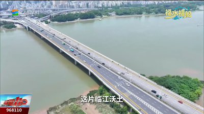 金山大桥：江洲藏古韵 六桥揽江光