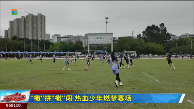 “橄”拼“橄”闯 热血少年燃梦赛场