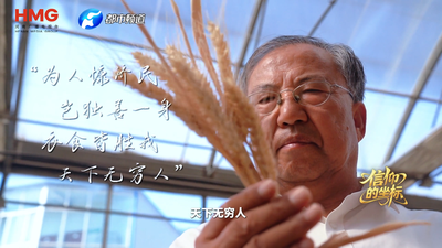麦田追光 岁月“茹”歌 逐麦而行