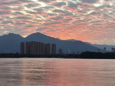 福建外贸进出口今年前5个月同比增长8.2%