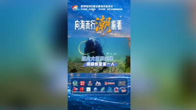 王欣——国内实现大面积实地珊瑚修复的第一人 ，还海洋生物一片栖息乐园。