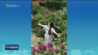 鼓岭花溪谷：绣球花开景宜人 赏花打卡正当时